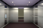 L&amp;#39;ascenseur métallique d&amp;#39;acier inoxydable de lustre lambrisse l&amp;#39;isolation phonique forte de réflexion fournisseur